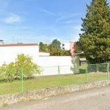 DUŠKOVÁ STŘIHOVÁ ÚPRAVA PSŮ