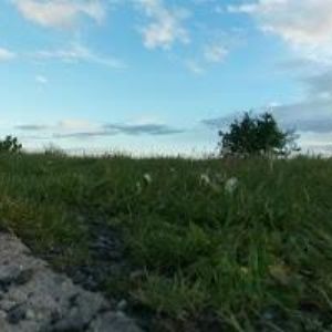obrazek: avatar LEJHANCOVÁ ROMANA Ing.