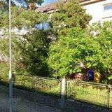 FUTEROVÁ HELENA MSc.