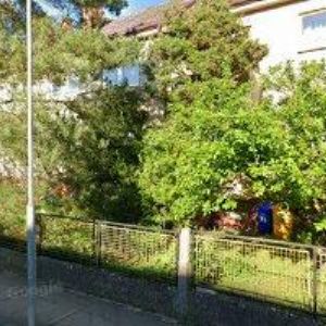 obrazek: avatar FUTEROVÁ HELENA MSc.