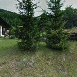 obrazek: avatar SAUER PAVEL