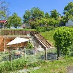 obrazek: avatar STUDIO DOKUMENT A FORMA