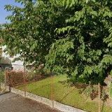 ČESKÝ SVAZ VČELAŘŮ, ZÁKLADNÍ ORGANIZACE Doudleby nad Orlicí