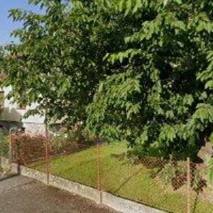 obrazek: avatar ČESKÝ SVAZ VČELAŘŮ, ZÁKLADNÍ ORGANIZACE Doudleby nad Orlicí