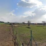 AGROSEM SEMENÁŘSKÉ DRUŽSTVO