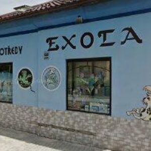 obrazek: avatar EXOTA