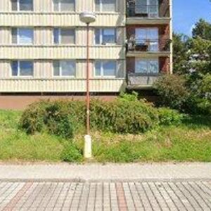 obrazek: avatar PSÍ SALON RENDY