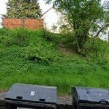 STŘÍHÁNÍ PSŮ KITTY