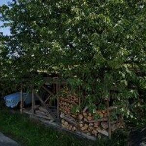 obrazek: avatar SLAVONIA