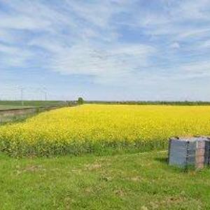 obrazek: avatar MALÝ ALEŠ