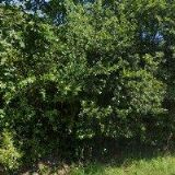 VČELÍ FARMA ROKYTNÍK