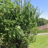 VČELÍ FARMA POD ZVIČINOU