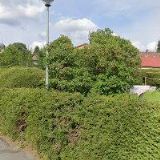 GRULICH IVAN-ROZNĚT