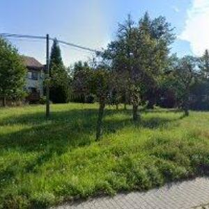 obrazek: avatar ROZUM IVAN