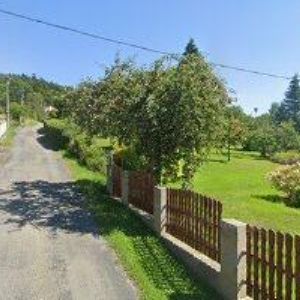 obrazek: avatar SVETZVIRATEK.CZ