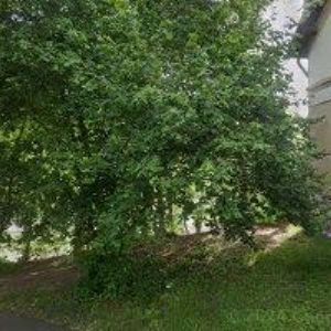 obrazek: avatar BENEŠ PETR-KAMENICTVÍ