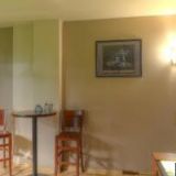 SALON TEREZKA-STŘÍHÁNÍ A ÚPRAVA PSŮ