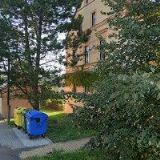 SVOBODOVÁ PETRA Mgr.