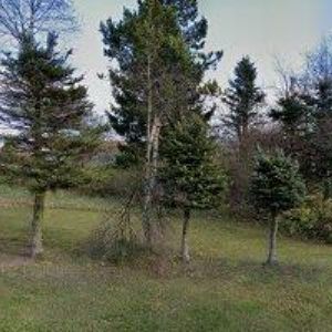 obrazek: avatar HROCH-SEBESTIAN