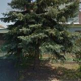 VETERINÁRNÍ KLINIKA JIRKOV