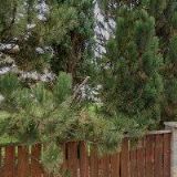 ZAHRADNICTVÍ U VANČŮ