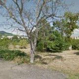 VETERINÁRNÍ KLINIKA LIVE