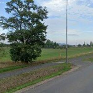 obrazek: avatar LELEK LADISLAV