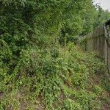 ZÁKLADNÍ KYNOLOGICKÁ ORGANIZACE ZO BOŽTĚŠICE