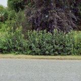 DUHOVÁ PLANETA , s.r.o.