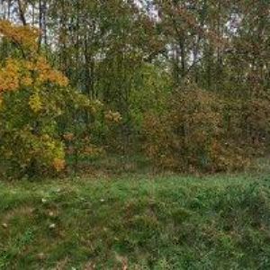 obrazek: avatar EZS , spol. s r.o.