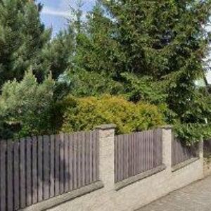 obrazek: avatar ŽIVOT VČEL