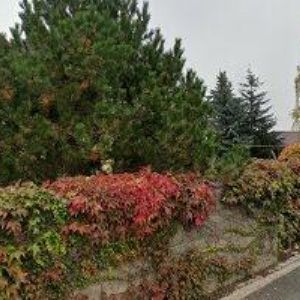 obrazek: avatar SAATBAU LINZ ČESKÁ REPUBLIKA s.r.o.