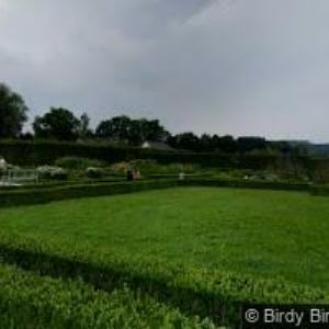 obrazek: avatar LHOTÁK HISTORICKÉ INTERIÉRY