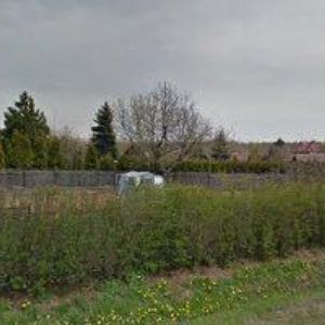 obrazek: avatar SPRÁVA MĚSTSKÝCH LESŮ MOST