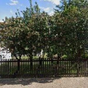 obrazek: avatar RYŠAVÝ JOSEF