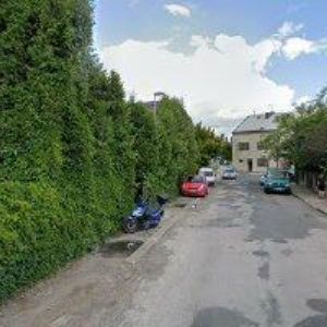 obrazek: avatar KALINA DANIEL