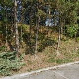 STASTING PRAHA s.r.o.