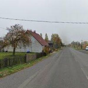 obrazek: avatar JANETTE THEIN