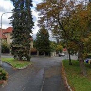 obrazek: avatar DRUŽSTVO LÍPA