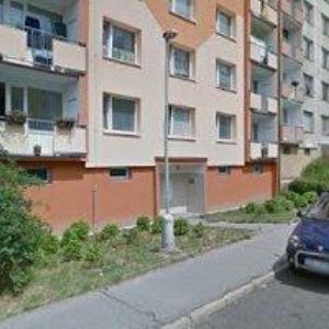 obrazek: avatar ZÁKLADNÍ KYNOLOGICKÁ ORGANIZACE Chlumec u Rybníka