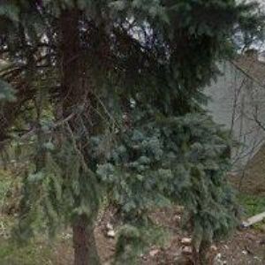 obrazek: avatar ŠÍPEK MIROSLAV