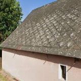 RUDRAKŠA MIKULKA OLDŘICH