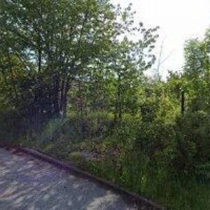 obrazek: avatar NO LIMITS , o.s.