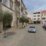 ZÁJMOVÝ ZÁCHRANNÝ CHOV ODLOŽENÝCH PSŮ LESNÍ ZÁTIŠÍ