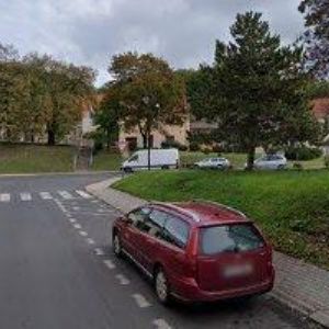 obrazek: avatar KVĚTINY NARCIS