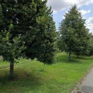 obrazek: avatar PM KERAMIKA