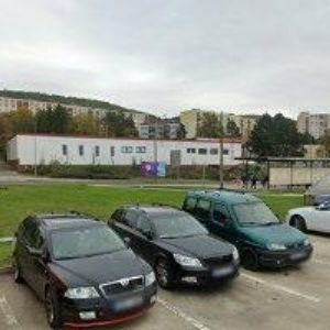 obrazek: avatar KOTKOVÁ LENKA-KRMIVA
