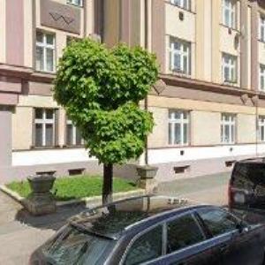 obrazek: avatar KARPA SERVIS s.r.o.