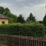 JELÍNEK-PODLAHÁŘSKÉ PRÁCE