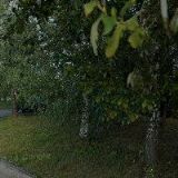 ZÁKLADNÍ ORGANIZACE ČESKÉHO SVAZU OCHRÁNCŮ PŘÍRODY KŘIŽÁNKY-JIČÍN